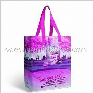 PP Woven Shopping Bag