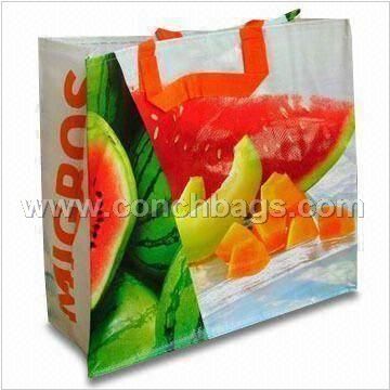 PP Woven Shopping Bag