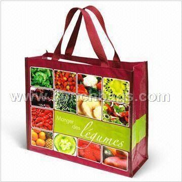 PP Nonwoven Fabric Shopping Bag