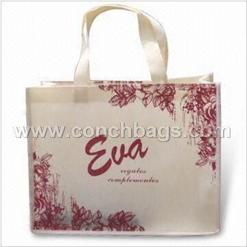 Shopping Bag